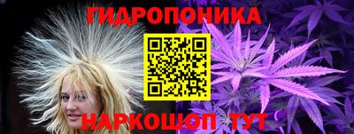 ешки Будённовск